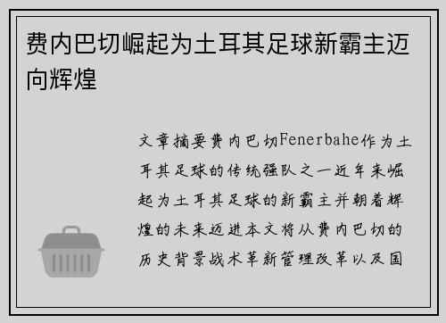 费内巴切崛起为土耳其足球新霸主迈向辉煌