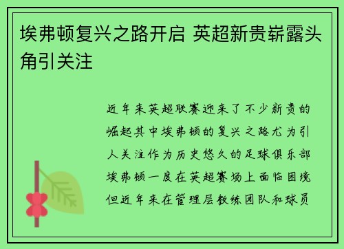 埃弗顿复兴之路开启 英超新贵崭露头角引关注